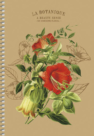 Тетрадь "Ш" А5 6029К кл.упр.мяг.крафт 96л.(1/54)