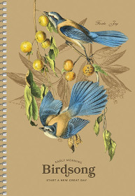 Тетрадь А5 6029 б/л пруж.мяг.крафт крем 96л.Школярик (1/54)