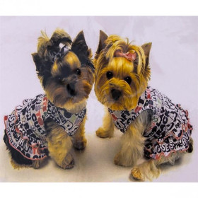 71210 Картина-живопис алмазами по номерам 30*40см