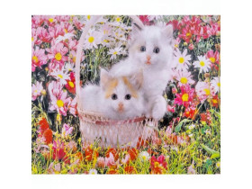 70585 Картина-живопис алмазами по номерам 30*40см