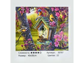 30767 Картина за номерами, пензлик+фарби 40*30см