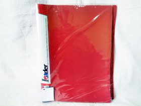 Папка LEADER 30ф (65шт)