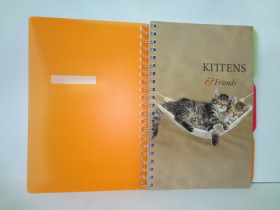 680680 Зошит А4/144 пласт.обкл."Киттенс"
