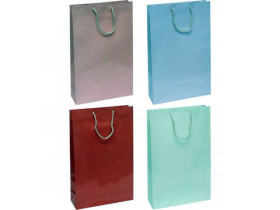 Пакет 5026 подарунковий Однотонний вертикальний (12шт) 25*39*8см