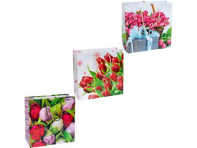 Пакет подарунковий 4019 Тюльпани (12шт) 24*24*10см