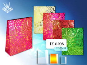 Сумка под.TZ-6406 (12шт) 26*32*10