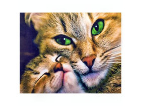 Алмазная живопись 30х40 GLD61300