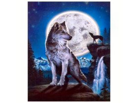 Алмазний живопис 30х40 GLD61366