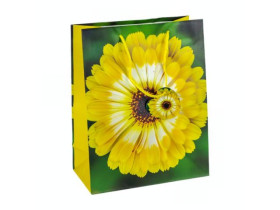 Пакет подарунковий 24163 (10шт) 26*32*12см