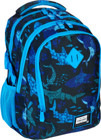 Рюкзак ASTRA HD-200 шкільний 4 відд.Head 2