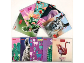 Зошит 48л. кл.МОКРИЙ ШОВК "Тетрада" (10/200)