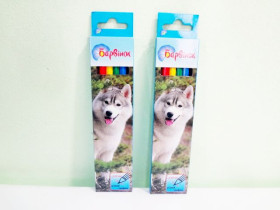 Олівці 6 кольорів Барвінок 5-201/1 (24/480)