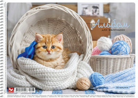 Альбом "Ш" 285 пруж.20арк.(9/90)