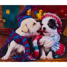 73808 Картина-живопис алмазами по номерам 40*50см