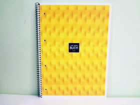 Коледж-блок "Ш" А4 6501L лін.пруж.мат.лам.80арк.(4/36)