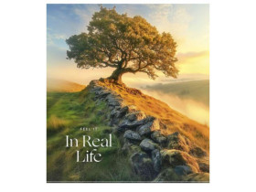 Зошит 36арк, у лінію, Star 3538L УФ-лак (10/160)