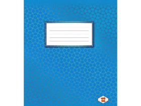 Зошит 12арк ФОНОВА клітка (25/700)