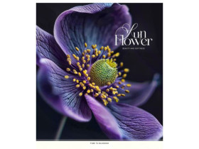 Зошит 60арк, у клітинку, Школярик 3456K УФ-лак (10/80)