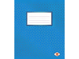 Зошит 12арк ФОНОВА коса лінія (25/700)