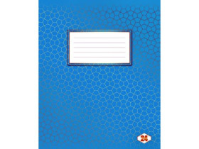 Зошит 24арк ФОНОВА лінія (20/400)