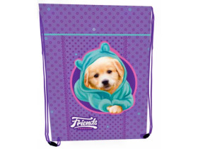 Сумка для взуття 2432С, 46х33см, поліестер, "Friends"