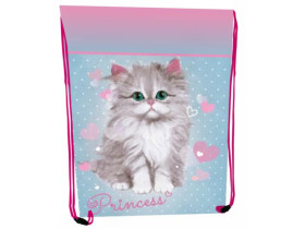 Сумка для взуття 2434С, 46х33см, поліестер, "Princess Cat"