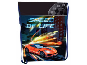 Сумка для взуття 2438С, 46х33см, поліестер, "Speed of Life"