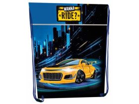 Сумка для взуття 2439С, 46х33см, поліестер, "Wanna ride"