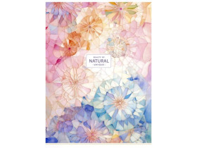 Зошит А4 5231К кл.скоба 80арк.Школярик (6/42)