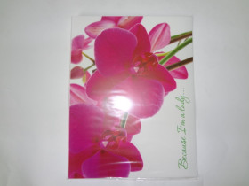 490692 Папка с 30ф А4 "Because I am a lady" Орхидея