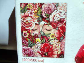 02-04 Картина по номерам, 50*40см,кисть+краски *Данко Тойс*