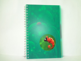 680677 Зошит А4/144 пласт.обкл."Хамелеон"