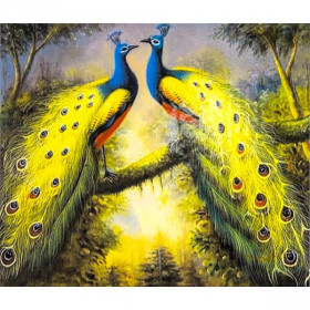 70048 Картина-живопис алмазами по номерам 40*50см