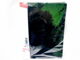 Папка LEADER 20ф (80шт)