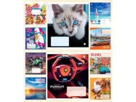 Зошит Тетрада 18арк.клітинка,тв.об.(20/400)(20/480)