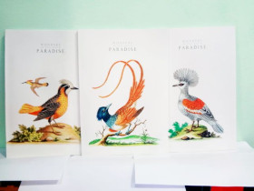 Зошит "Ш" А4 545К кл.скоба 40арк.(3/69)