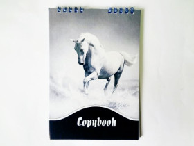 Блокнот "З" А5 мяг верх пруж 60арк (20шт)