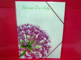 490632 Папка на резин. А4 "Because I am a lady" Алиум