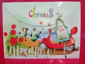 490718 Папка-конверт на кнопке А4 "Сity girls" L6002