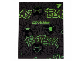 Щоденник шкільний YES інтегральний Play football, А5, 40 аркушів 911653