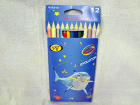 Олівці кол.BR 12кол.пластік №2213 (6/240)