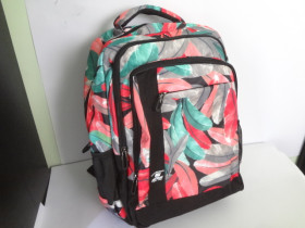 Рюкзак SAFARI 20-153L-3 3 відд.43x29x20см  City