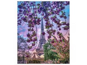 Алмазная живопись 30х40 GLD61298