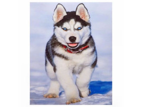 Алмазная живопись 30х40 GLD61288