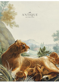 Тетрадь "Ш" А4 5079К кл.мяг.скоба 80л (6/48)