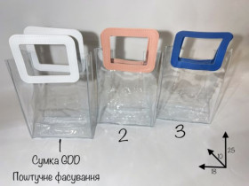 Сумка прозора GDD (S) 18*10*25см