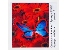 Картина за номерами+Алмазна мозаїка 78640, 40*50см
