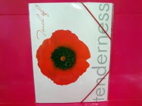 490578 Папка на резин. А4 "Мак"L5131