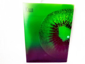 490611 Папка на кнопке А-4"Киви"L5109