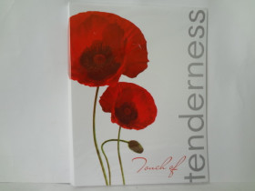 490577 Папка с 20 файл. А4 "Мак"L5130